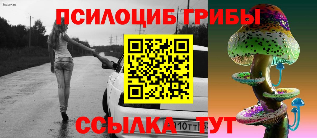 Городец  Псилоцибиновые грибы MAGIC MUSHROOMS  Вход с VPN  закладка  Псилоцибиновые грибы Psilocybine cubensis 